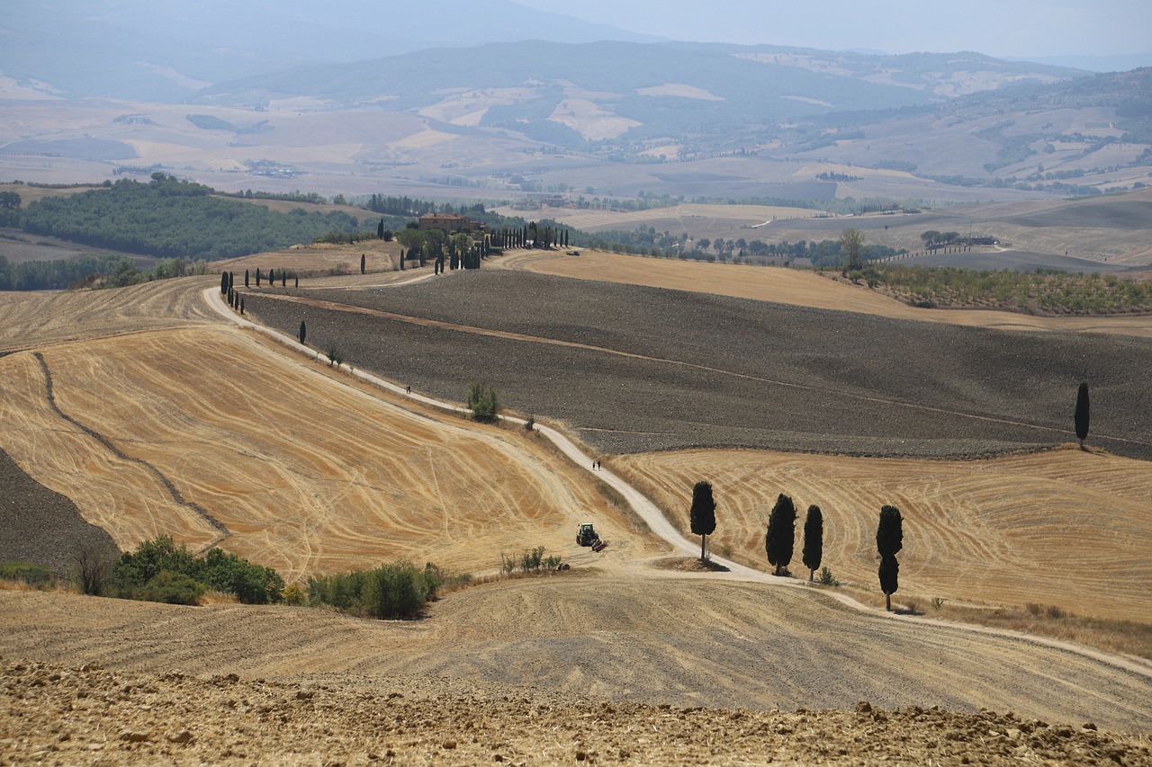 The Discovery of the Ancient Roman Gladiator Schools